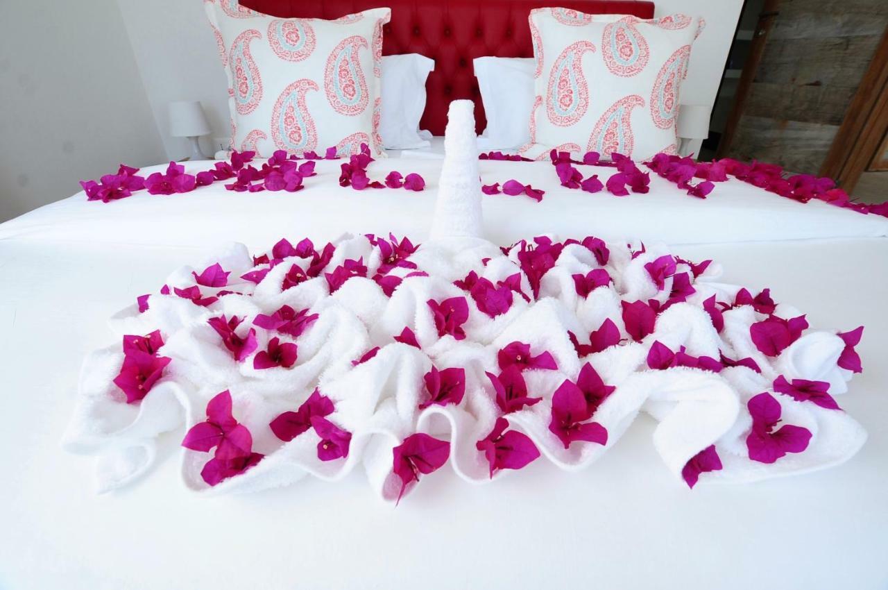 Ocean View Luxury Penthouse Nne Zanzibarhouses Apartment